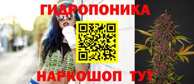 твердый Беслан