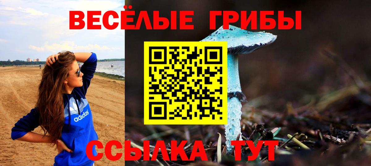 Псилоцибиновые грибы прущие грибы Калининград